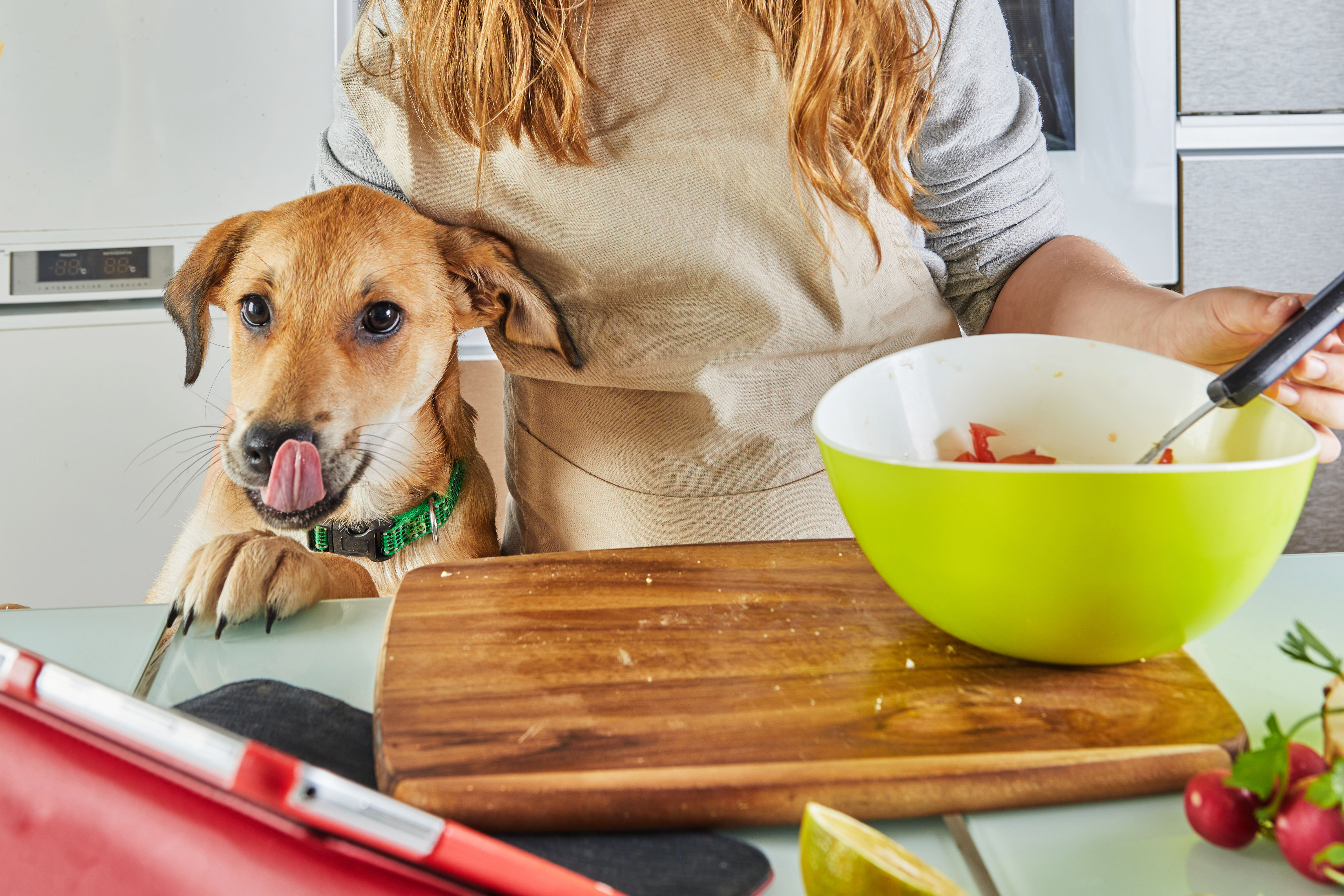 Easy DIY Dog Treats