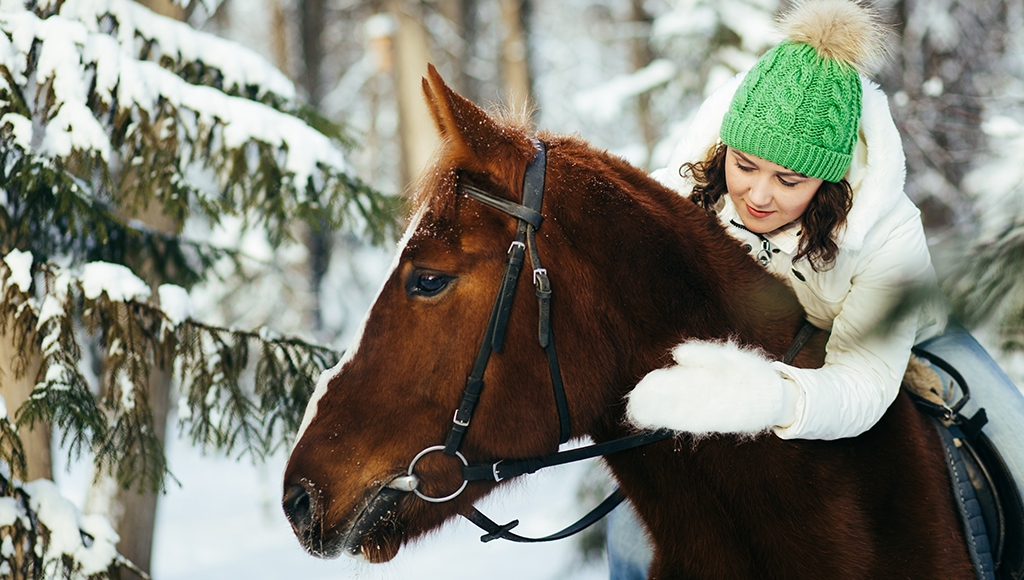 Winter Care for Horses