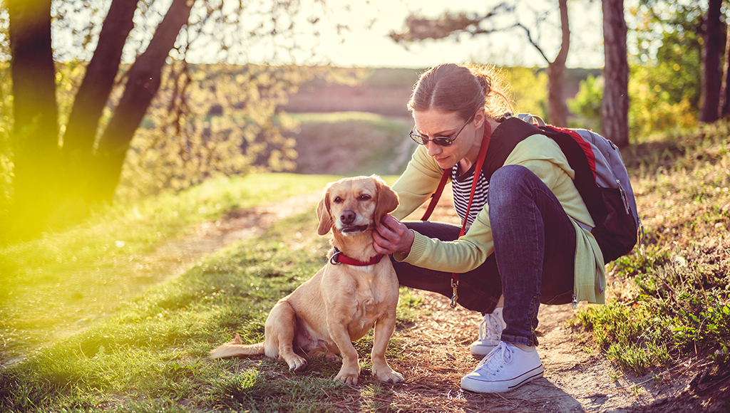 The Trouble with Ticks: Lyme Disease Signs, Treatment, and Prevention